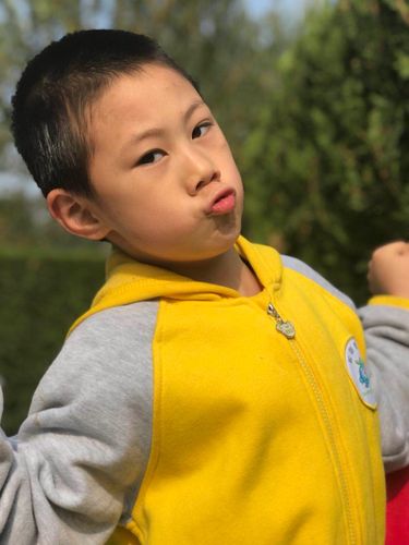 蓝莓果学前班和金阶梯-第2张图片-指南针培训网