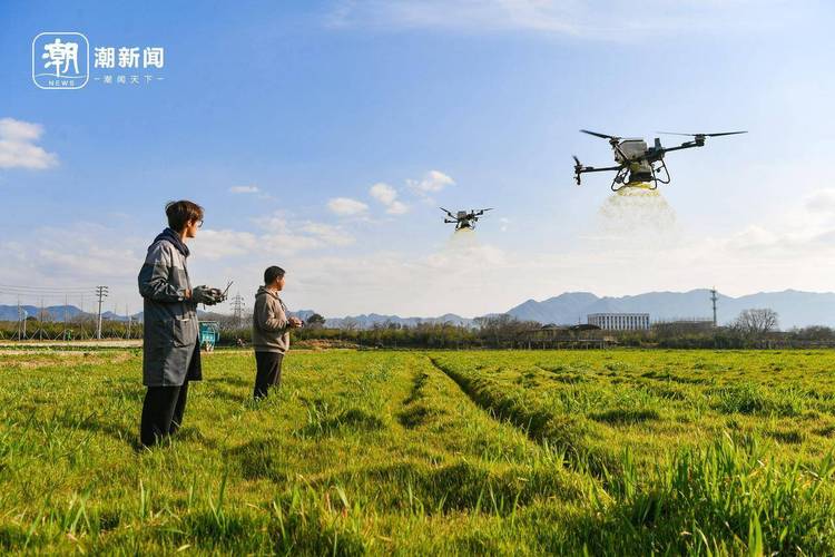 新型职业农民组织化发展-第2张图片-指南针培训网