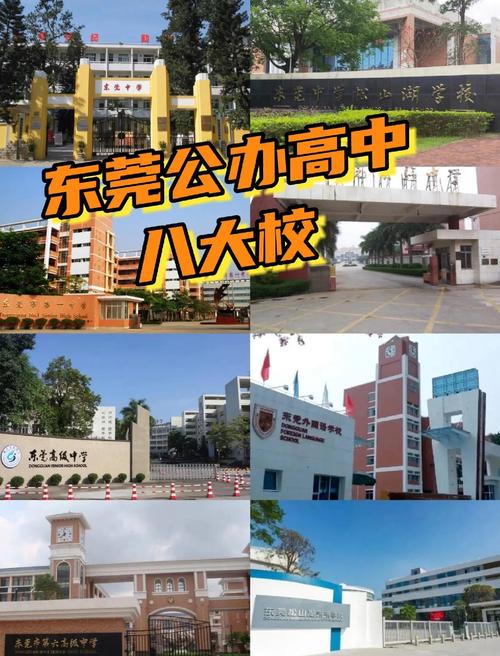 东莞哪些学校有学前班-第2张图片-指南针培训网