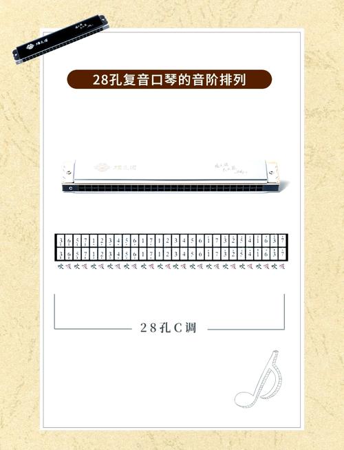 24复音口琴自学教程该怎么学？-第1张图片-指南针培训网
