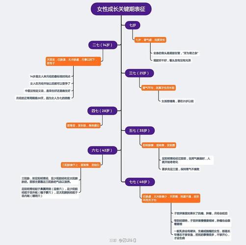 施恩职业发展9阶段如何划分？-第2张图片-指南针培训网
