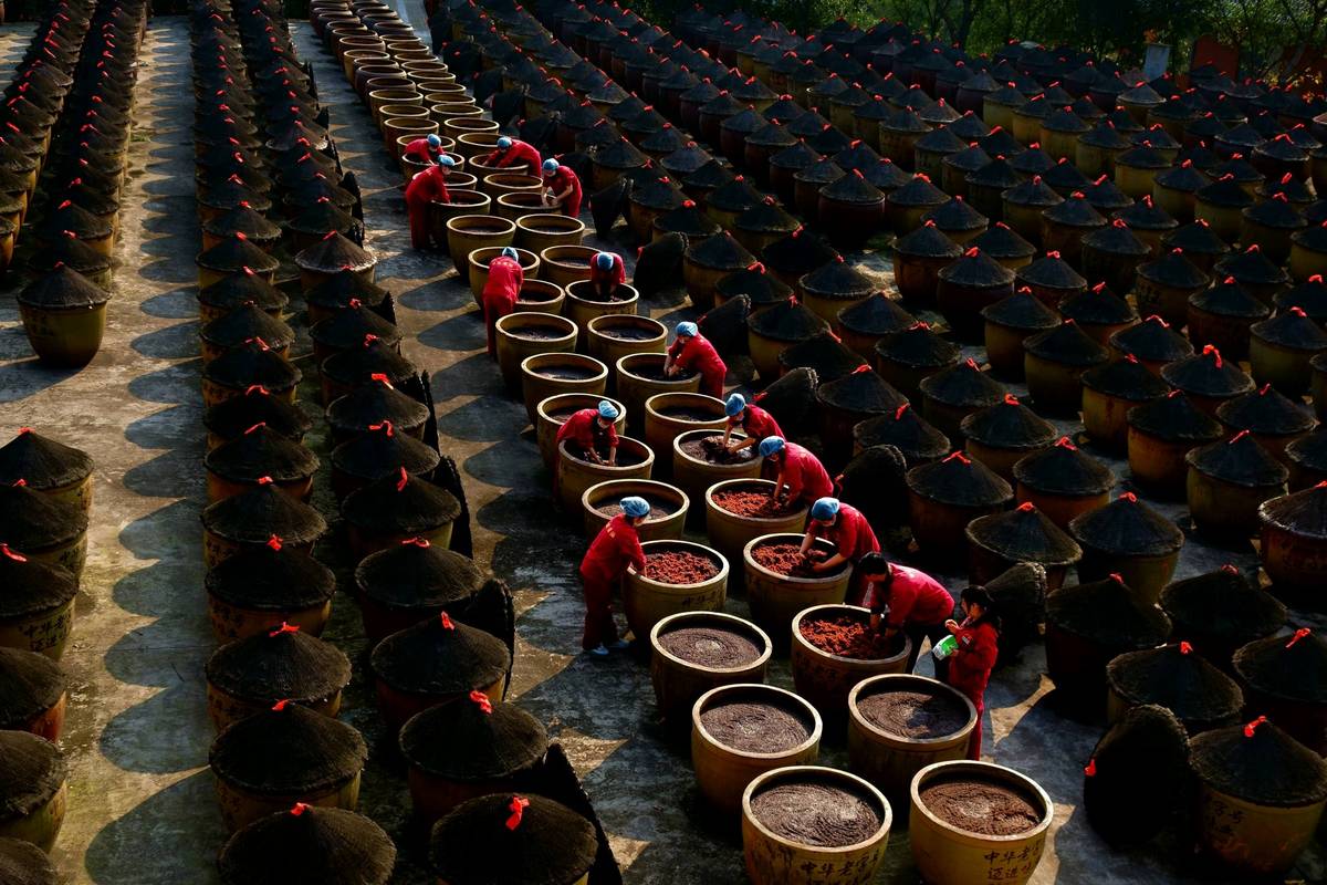 酿酒工程大学生未来职业方向有哪些?-第3张图片-指南针培训网 酿酒工程大学生未来职业方向有哪些?-第3张图片-指南针培训网