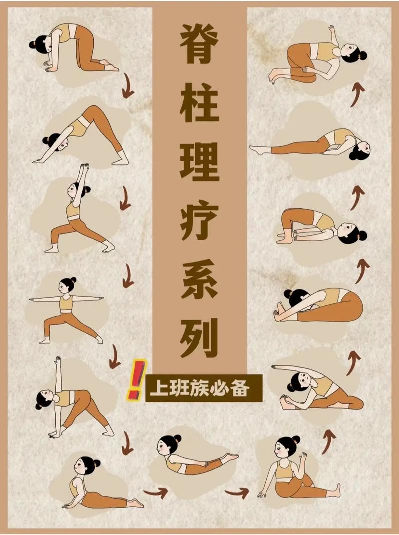 脊柱理疗瑜伽课程如何科学编排？-第1张图片-指南针培训网