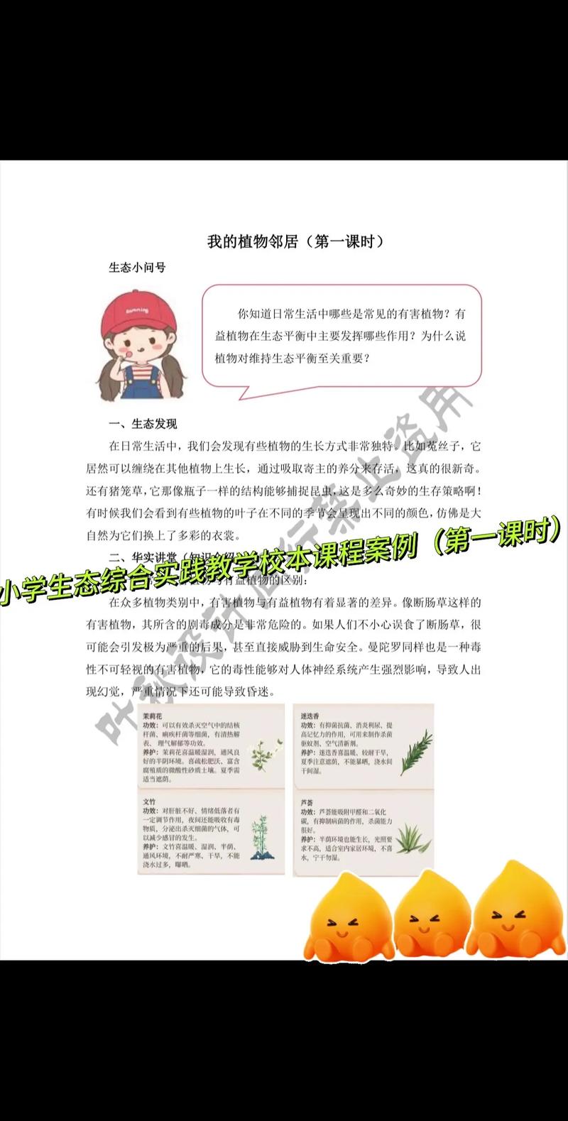 如何开发适合小学生的校本课程？-第3张图片-指南针培训网