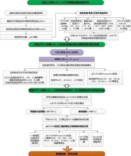 生物工程职业发展路径有哪些方向?-第1张图片-指南针培训网 生物工程职业发展路径有哪些方向?-第1张图片-指南针培训网