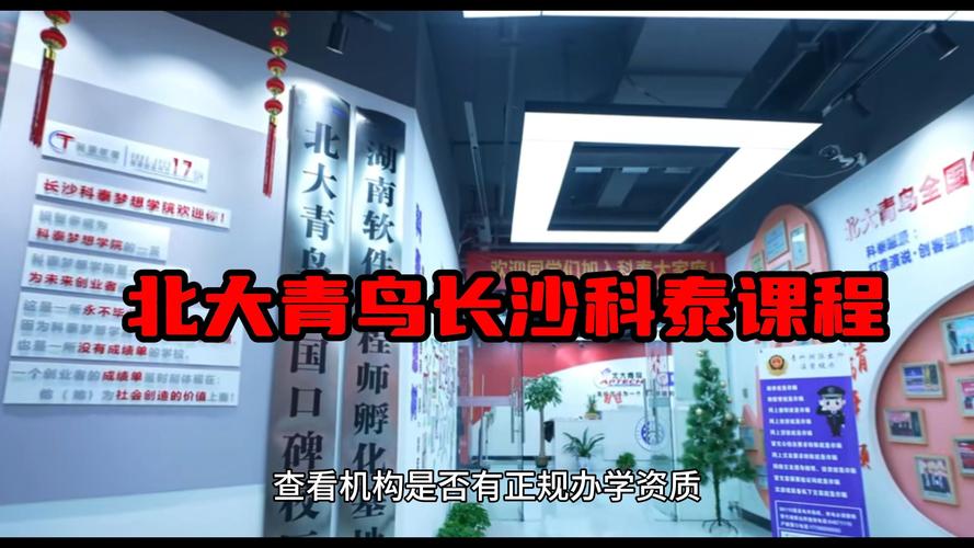 北大青鸟课程有哪些？-第3张图片-指南针培训网