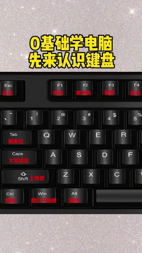 轻松自学键盘pdf哪里找？-第3张图片-指南针培训网