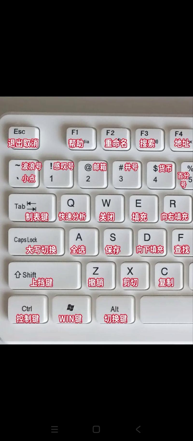 轻松自学键盘pdf哪里找？-第2张图片-指南针培训网