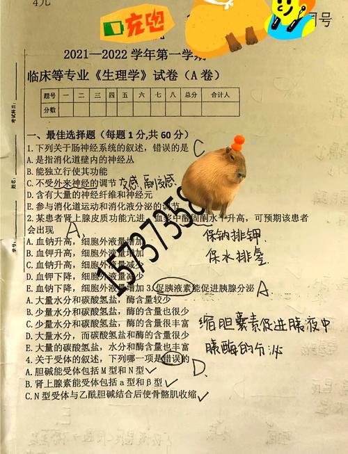 川北医学院自学习题集有何特色？-第2张图片-指南针培训网