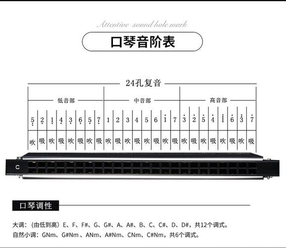 24孔C调口琴自学教程怎么学？-第1张图片-指南针培训网