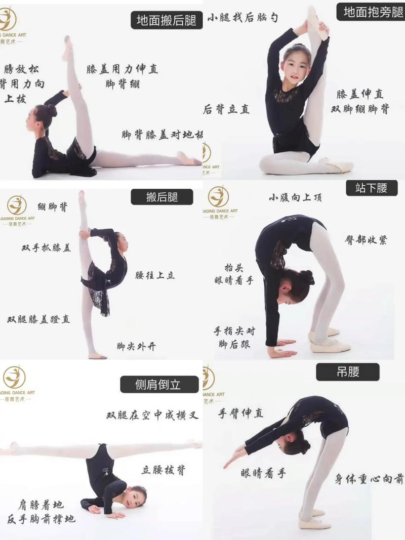 简单舞蹈教学视频自学能学会吗?-第1张图片-指南针培训网 简单舞蹈教学视频自学能学会吗?-第1张图片-指南针培训网