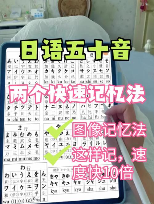 日语入门自学视频怎么学才有效？-第3张图片-指南针培训网