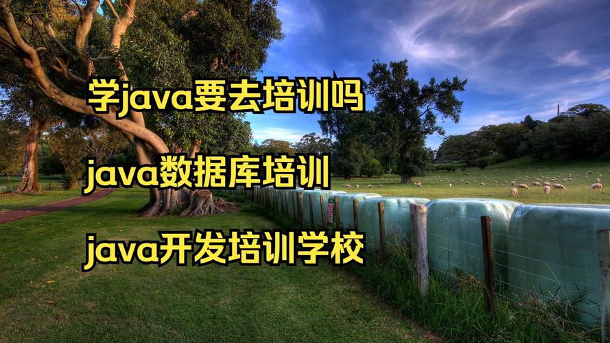 Java培训课程视频哪个好？-第1张图片-指南针培训网