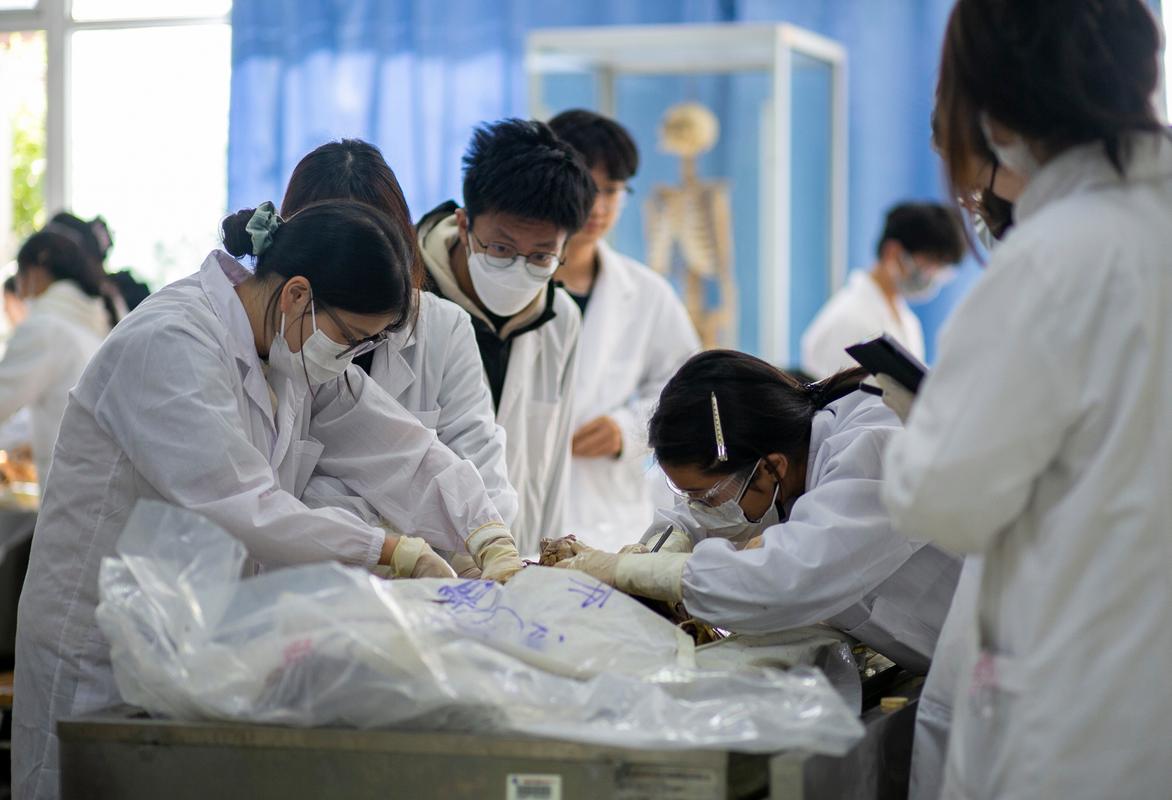 生物医学工程专业课程有哪些核心内容？-第3张图片-指南针培训网