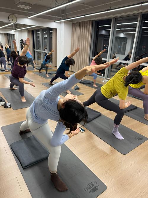 瑜伽主题课程具体有哪些类型？-第2张图片-指南针培训网