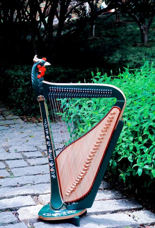 女生自学乐器选哪种最合适？-第2张图片-指南针培训网