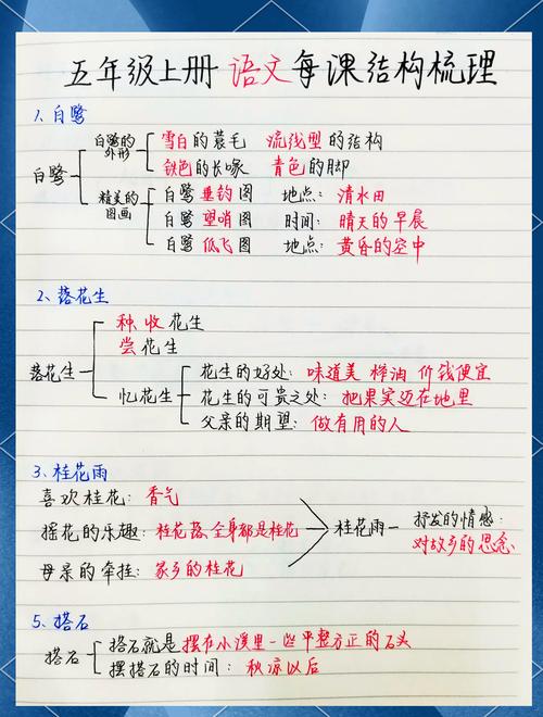 语文课程性质地位如何界定？-第3张图片-指南针培训网