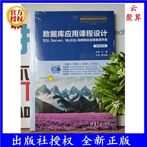 SQL数据库课程设计如何高效完成？-第3张图片-指南针培训网