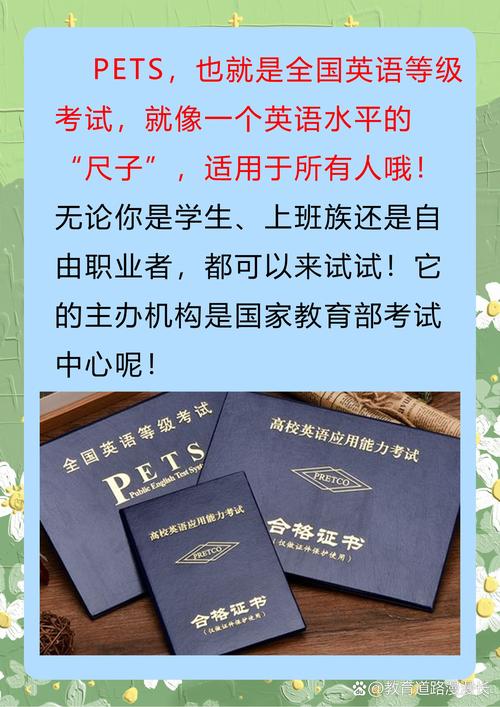 pets3零基础自学，该怎么高效入门？-第1张图片-指南针培训网