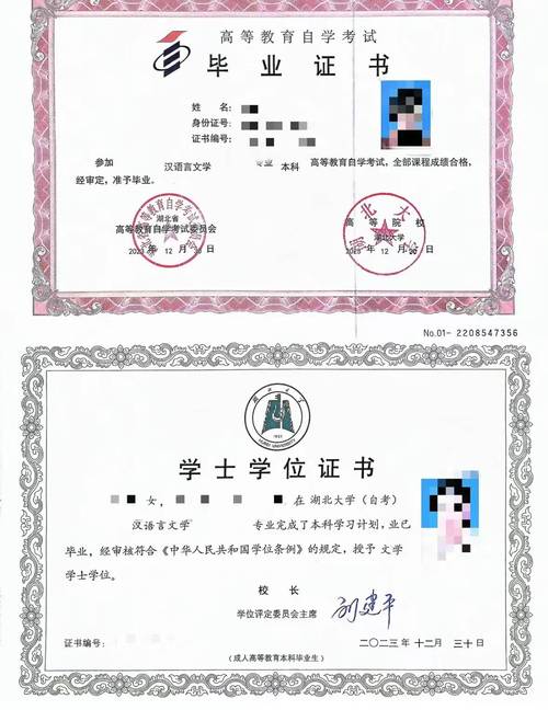 大学可自学考哪些高含金量证书？-第3张图片-指南针培训网