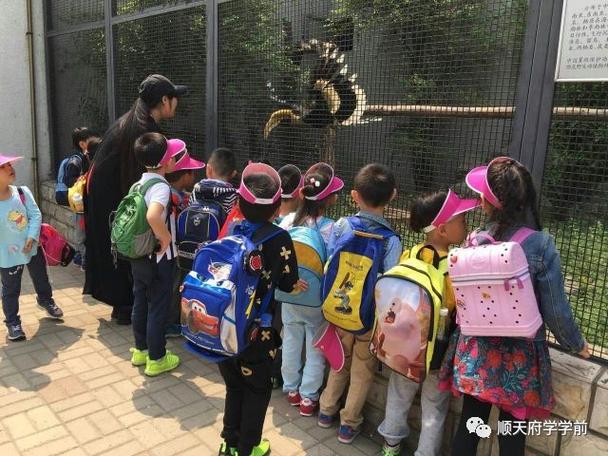 顺天府学学前班到底好不好？-第3张图片-指南针培训网