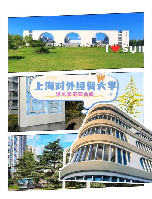 上海对外经贸大学未来前景如何？-第2张图片-指南针培训网