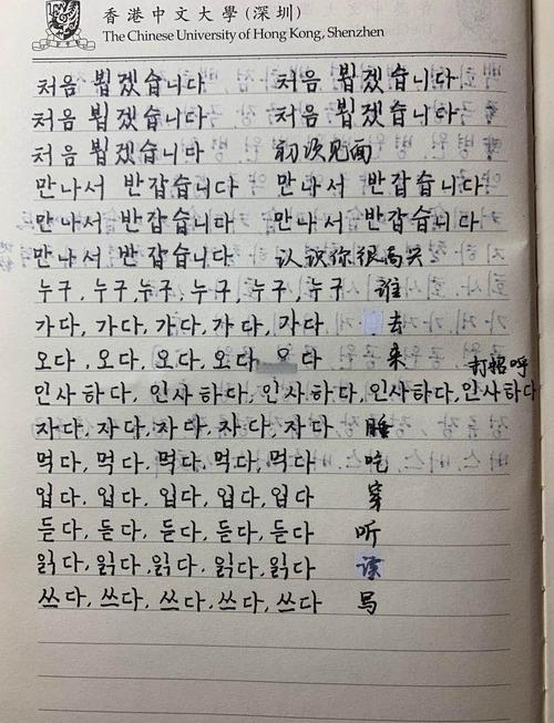 自学韩语怎样制定高效计划？-第2张图片-指南针培训网