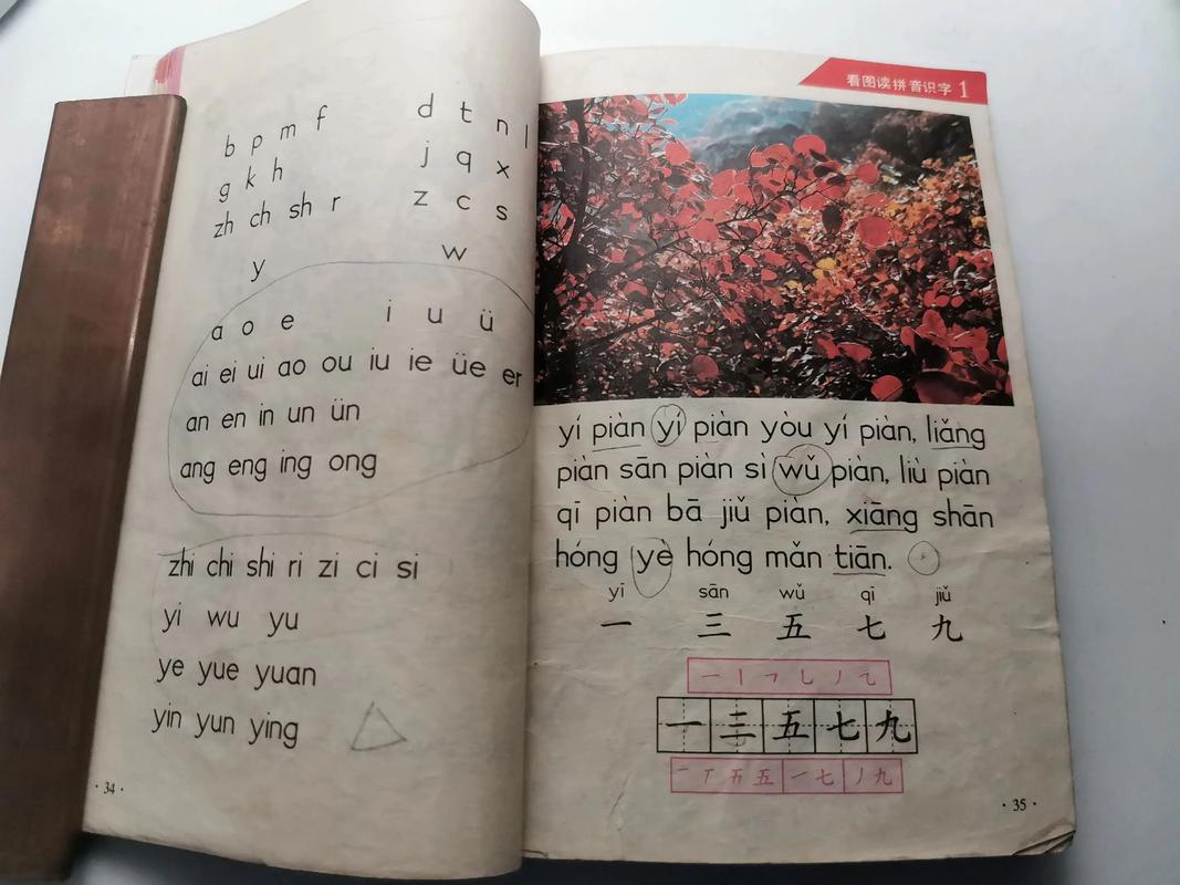 小学语文课程2011有何核心变化？-第3张图片-指南针培训网