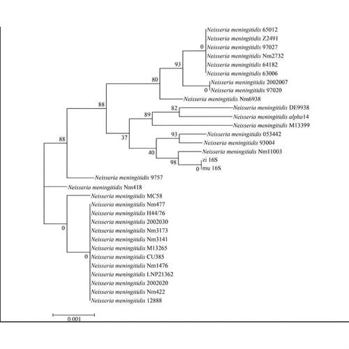 数据分析培训课程视频如何高效学习？-第2张图片-指南针培训网