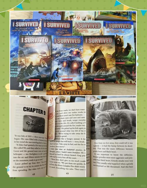 哪本英语自学书最适合零基础小白？-第3张图片-指南针培训网