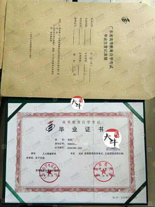 大一自学可考哪些高含金量证书？-第1张图片-指南针培训网