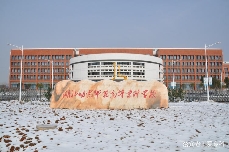 武汉学前教育专科学校怎么样？-第2张图片-指南针培训网