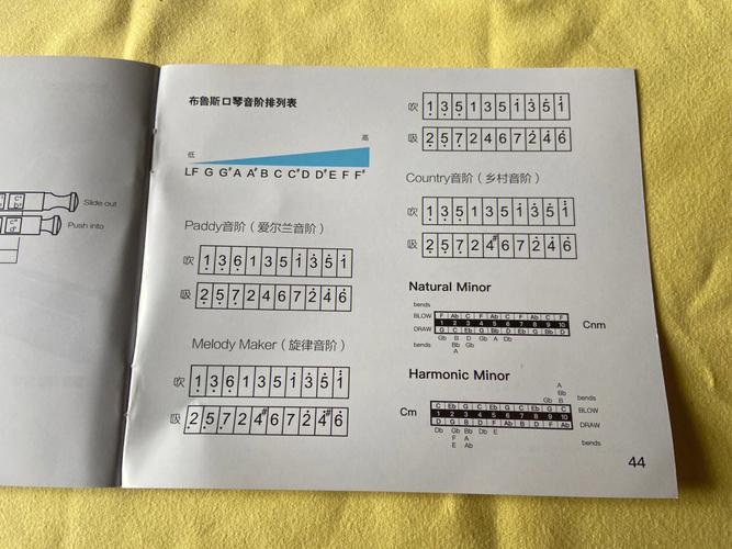 十孔口琴自学视频教程怎么学？-第1张图片-指南针培训网