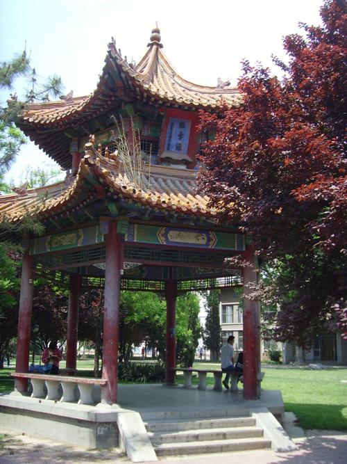 曲阜师范大学学前教育有何特色？-第3张图片-指南针培训网