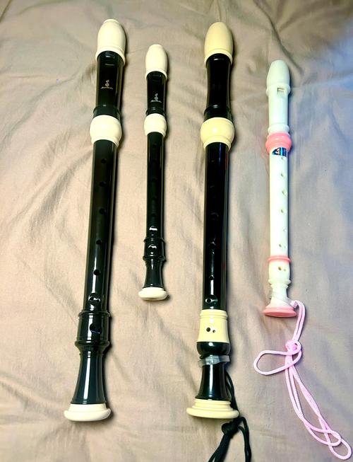 哪种乐器自学最容易上手？-第1张图片-指南针培训网