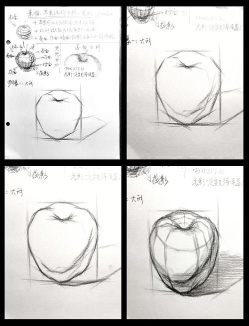 素描自学入门教程软件怎么选？-第2张图片-指南针培训网