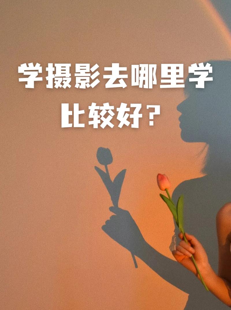 学摄影自学好还是影楼?-第1张图片-指南针培训网 学摄影自学好还是影楼?-第1张图片-指南针培训网