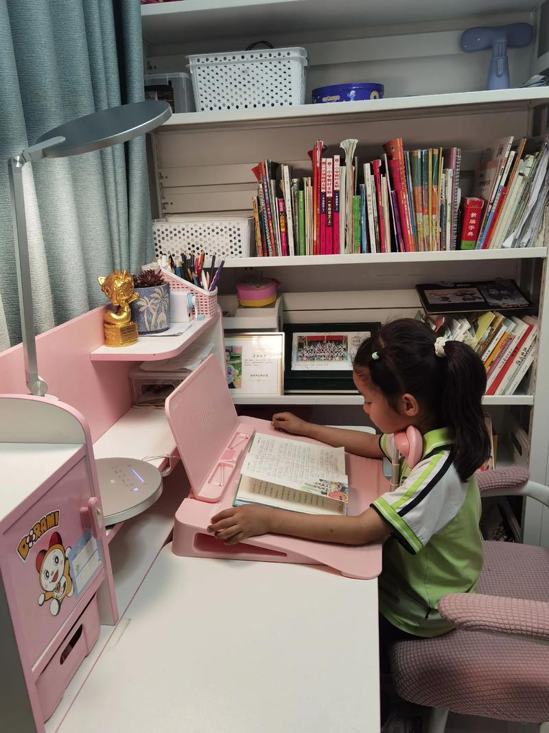 小学在家自学可行吗？-第1张图片-指南针培训网