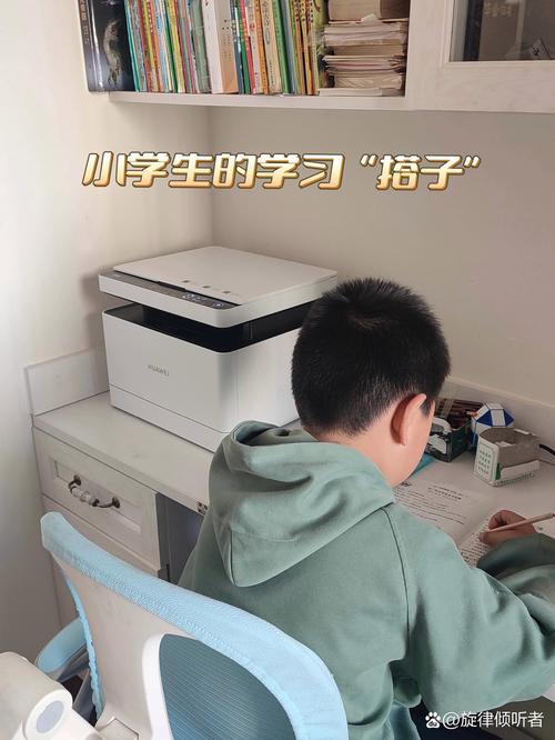 小学在家自学可行吗？-第2张图片-指南针培训网