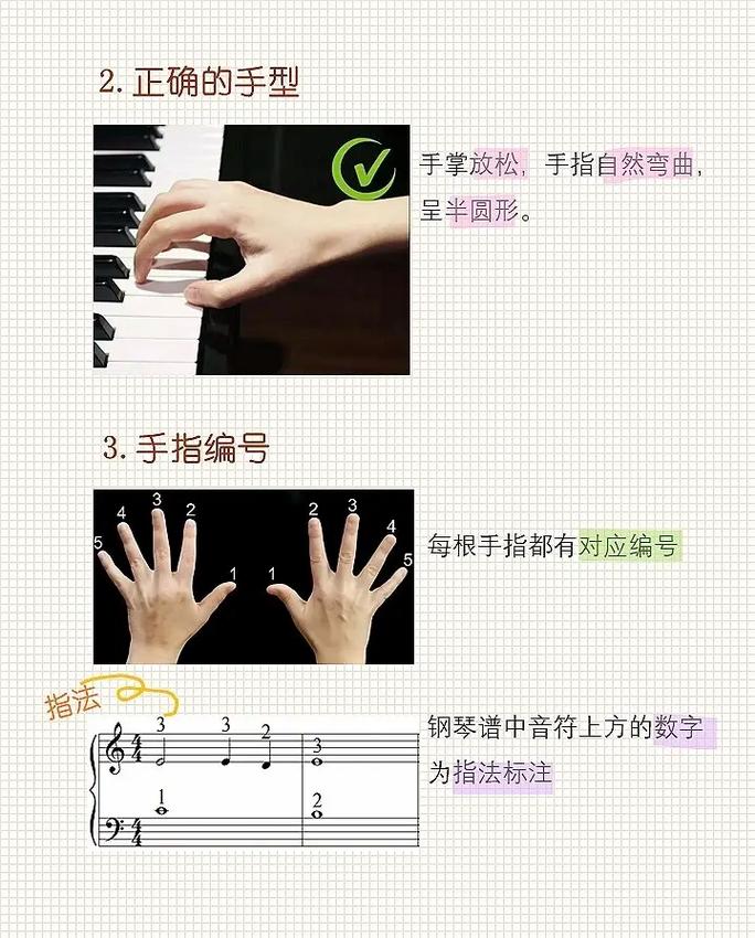 钢琴入门自学视频教程怎么学才有效？-第1张图片-指南针培训网