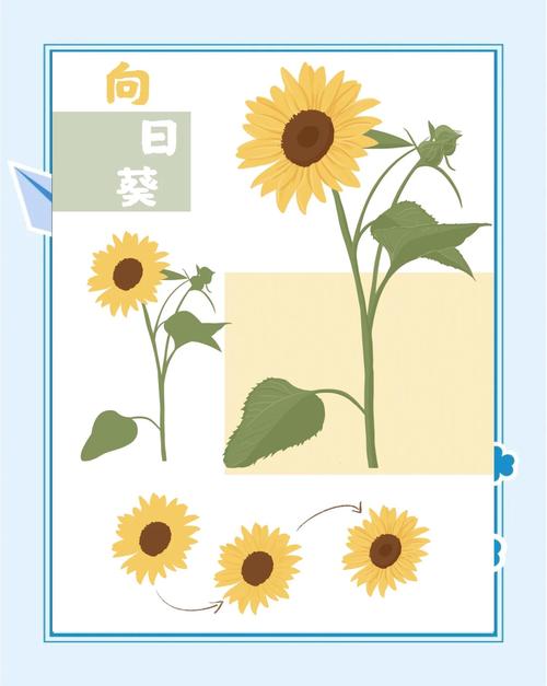 插画自学入门从哪开始学起?-第2张图片-指南针培训网 插画自学入门从哪开始学起?-第2张图片-指南针培训网