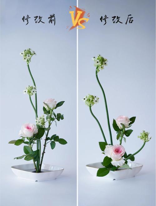 开花店插花能自学成才吗？-第2张图片-指南针培训网