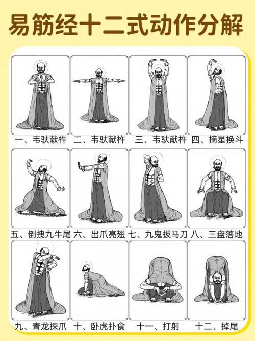 经筋疗法自学教程大全，怎么学才有效？-第1张图片-指南针培训网