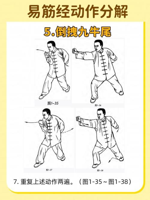 经筋疗法自学教程大全，怎么学才有效？-第2张图片-指南针培训网