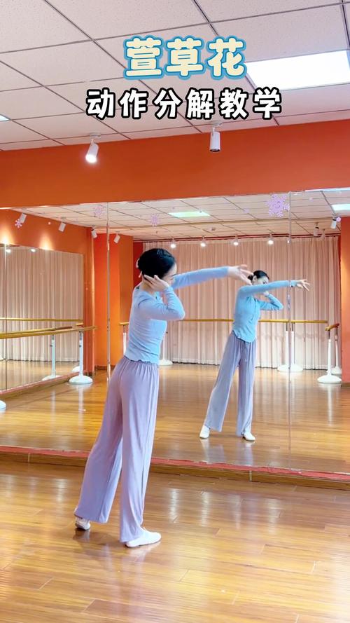 自学简单舞蹈视频,真的能学会吗?-第3张图片-指南针培训网 自学简单舞蹈视频,真的能学会吗?-第3张图片-指南针培训网