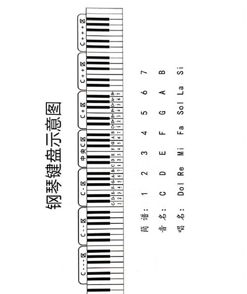 钢琴入门自学教程哪里能免费学？-第1张图片-指南针培训网