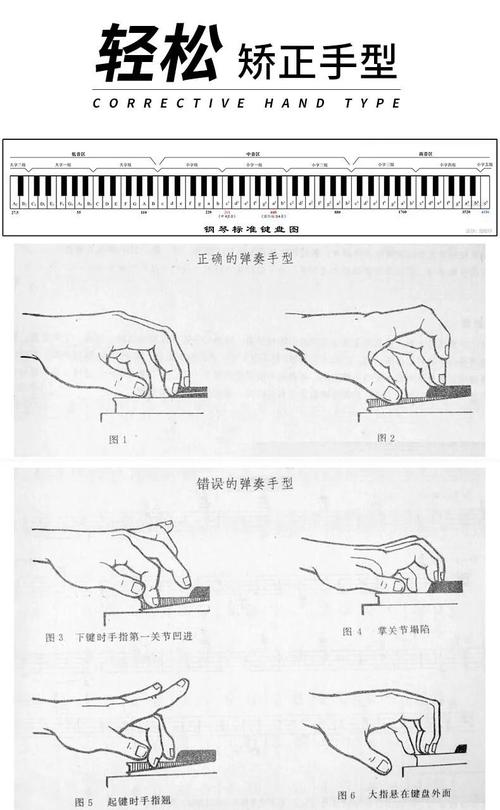钢琴入门自学教程哪里能免费学？-第3张图片-指南针培训网