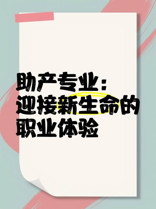 助为助产士，未来路向何方？-第2张图片-指南针培训网