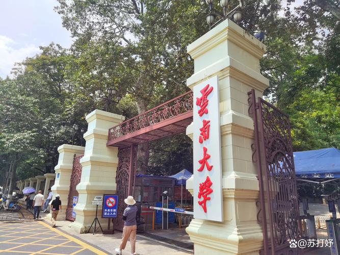 云南大学开设学前教育专业吗？-第2张图片-指南针培训网