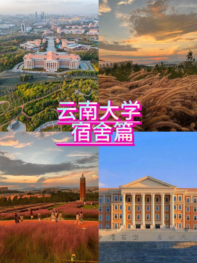 云南大学开设学前教育专业吗？-第3张图片-指南针培训网